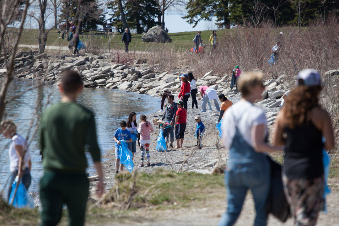 The Cove Beach Cleanup