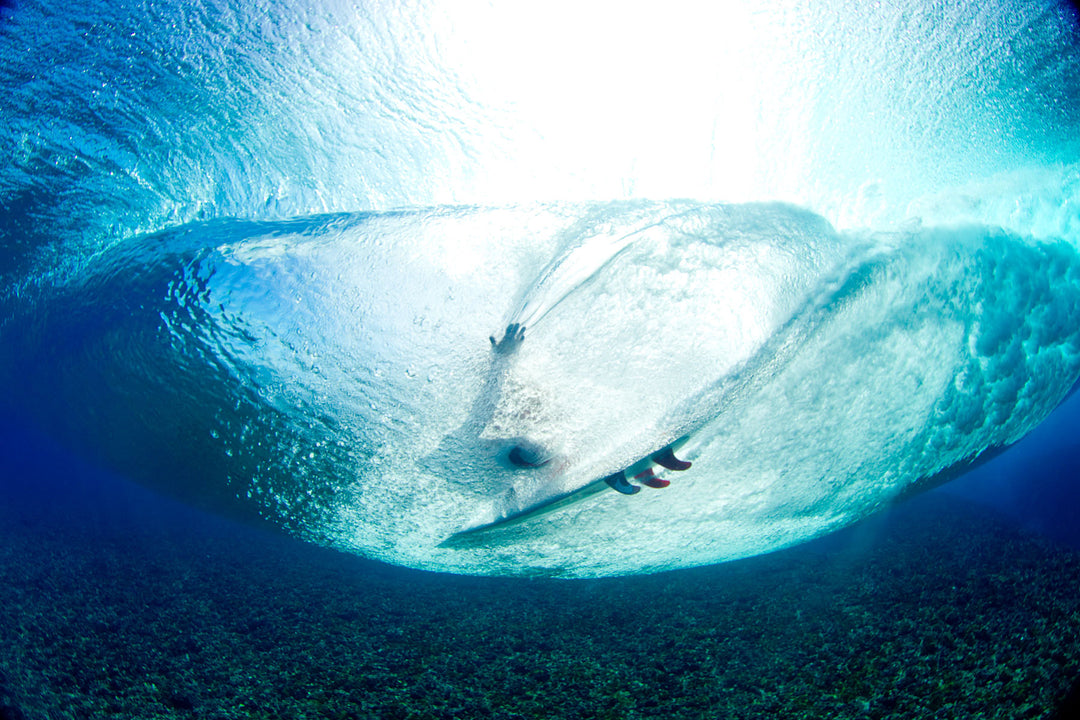 InterPlay: Zak Noyle