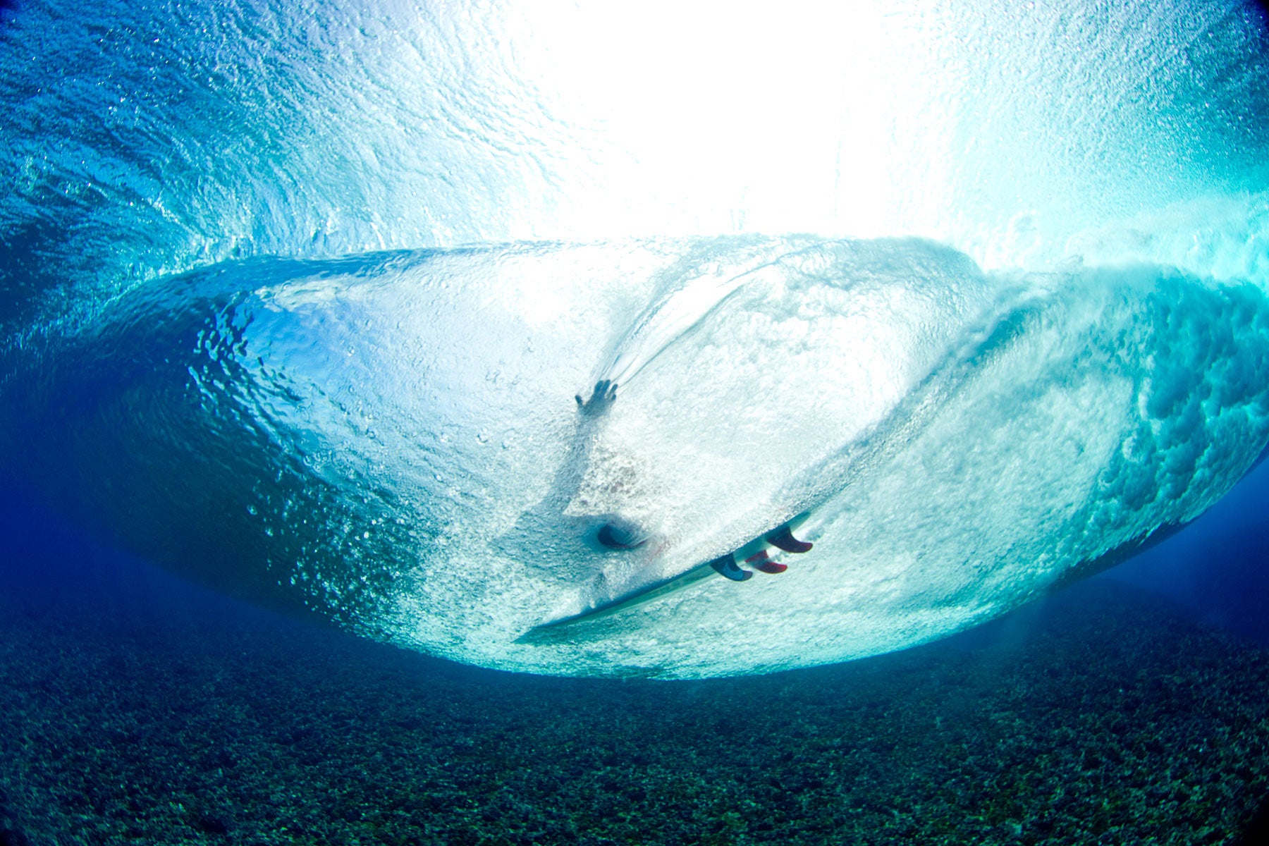 InterPlay: Zak Noyle