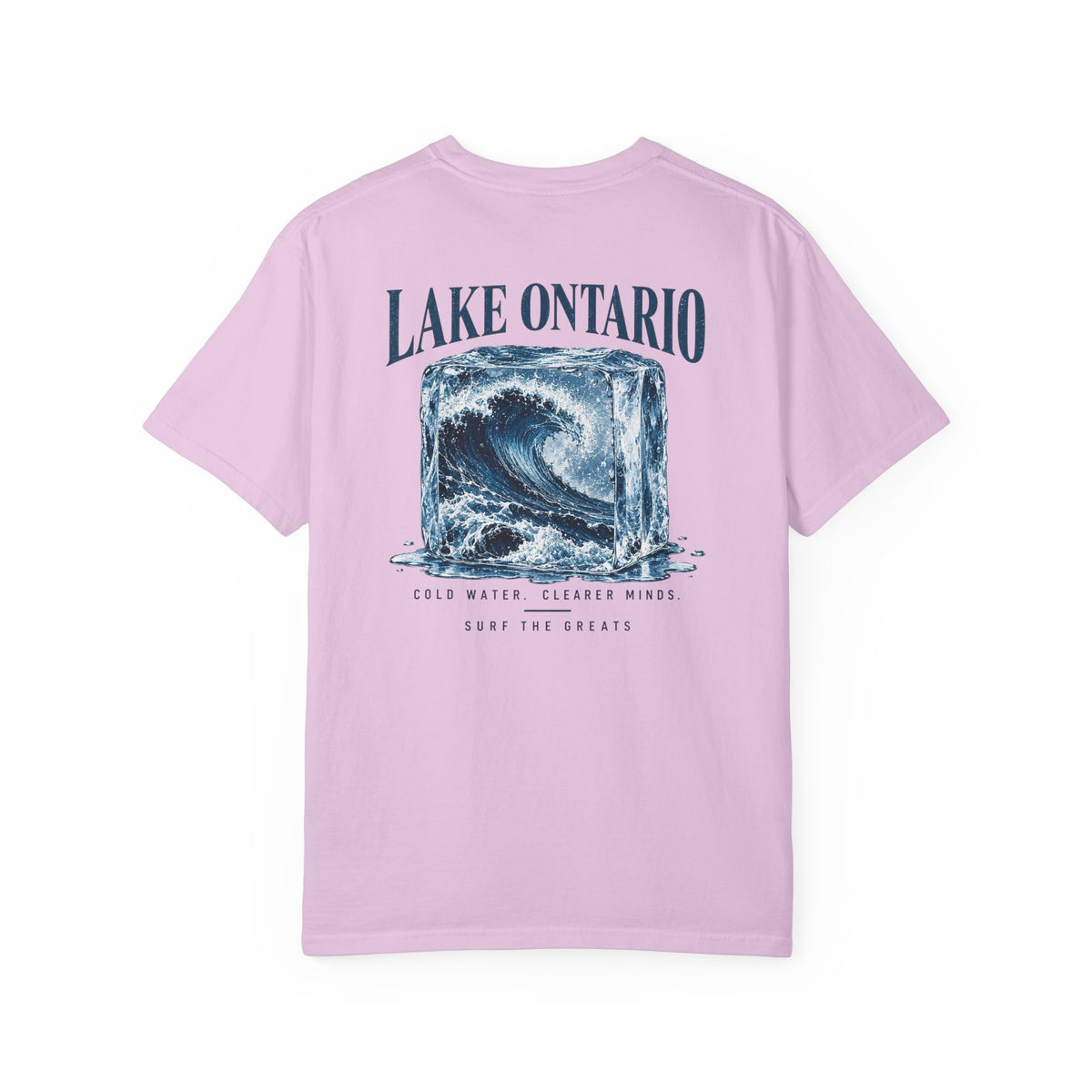 Lake Ontario Ice Cube T-shirt