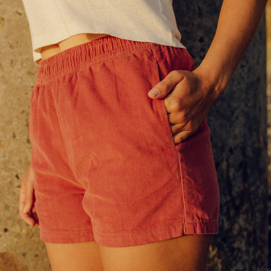 Mollusk Corduroy Baja Shorts - Antique Rose